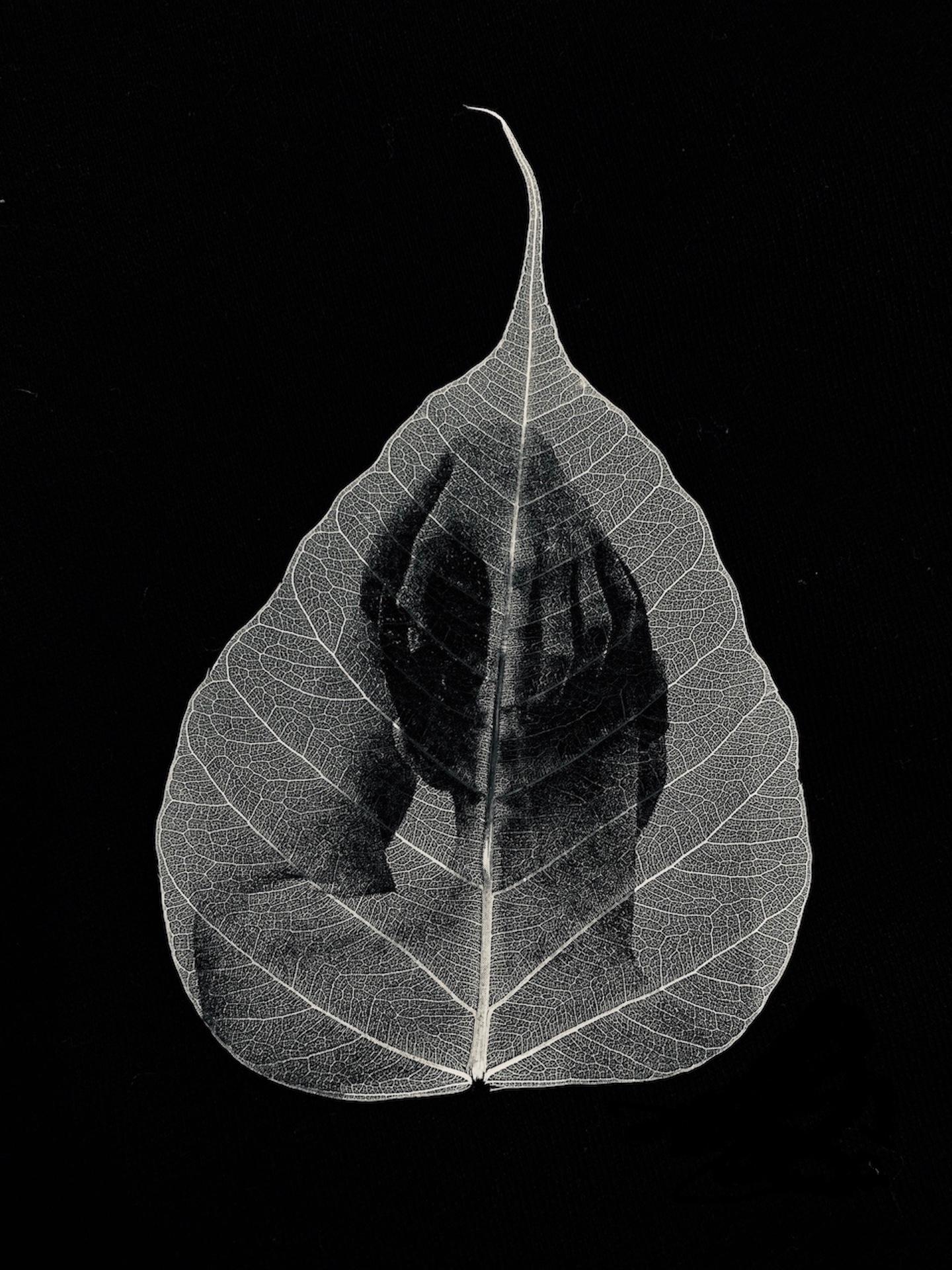 Samantha Bias Portrait Photograph - Head in hand -black and white transferred photograph on preserved skeleton leaf