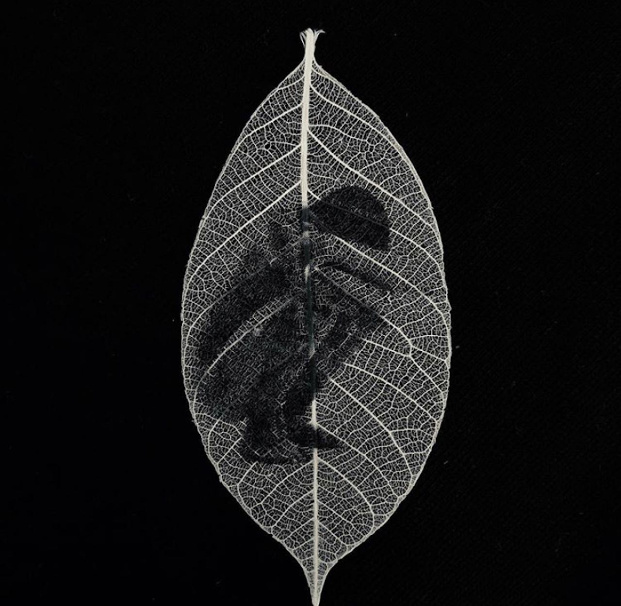 Samantha Bias Portrait Photograph - Sitting -black and white transferred photograph on preserved skeleton leaf