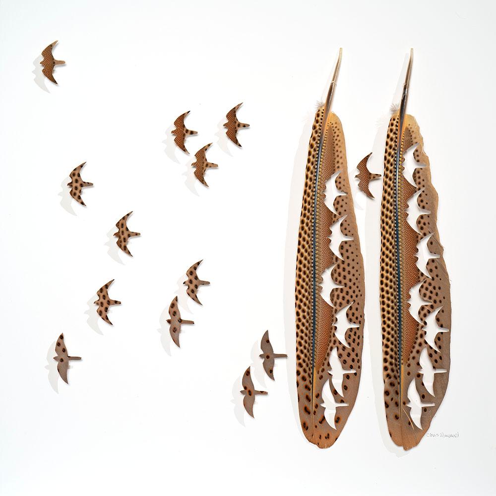 Free nature - brown bird feather 3D wall sculpture collage on paper 