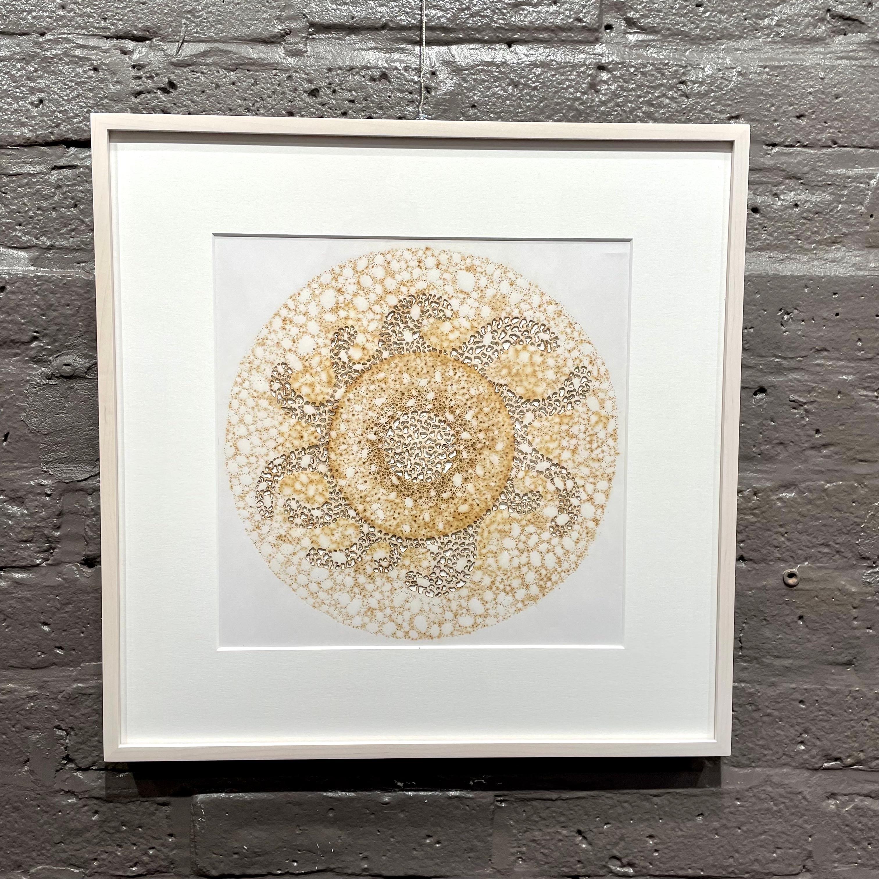 CDV 8 - earth tone geometric abstract circle with burn holes on paper - Art by Nathalie Palomino