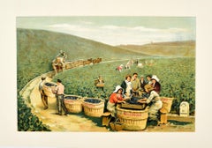 Affiche vintage originale et ancienne de J. Bollinger sur le champagne scintillant d'un vignoble Ay France