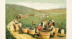 Original Antique J. Bollinger Champagne Poster Sparkling Wine Vineyard Ay France