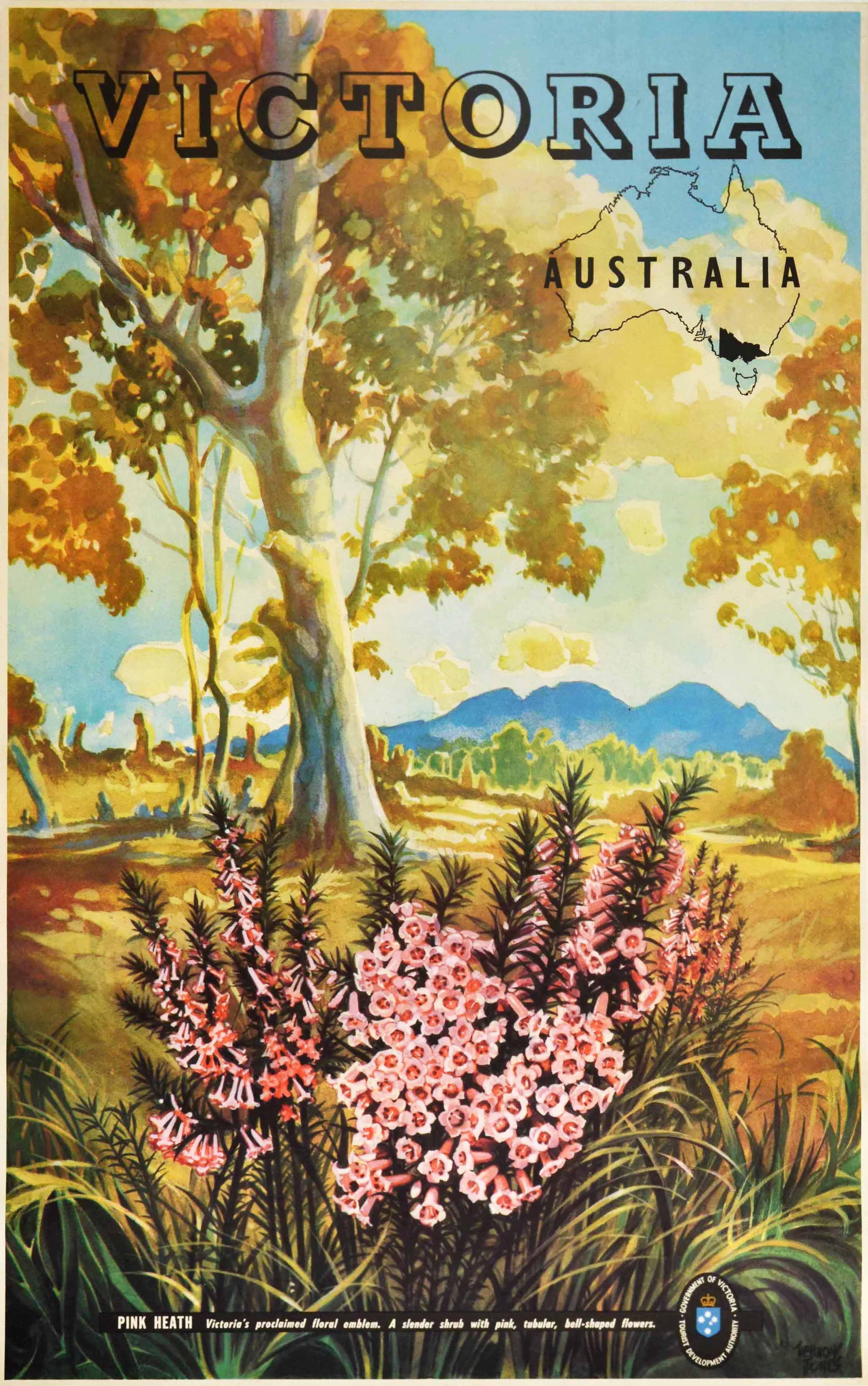 Vernon Jones Print - Original Vintage Poster Victoria Australia Pink Heath Flowers Map National Park