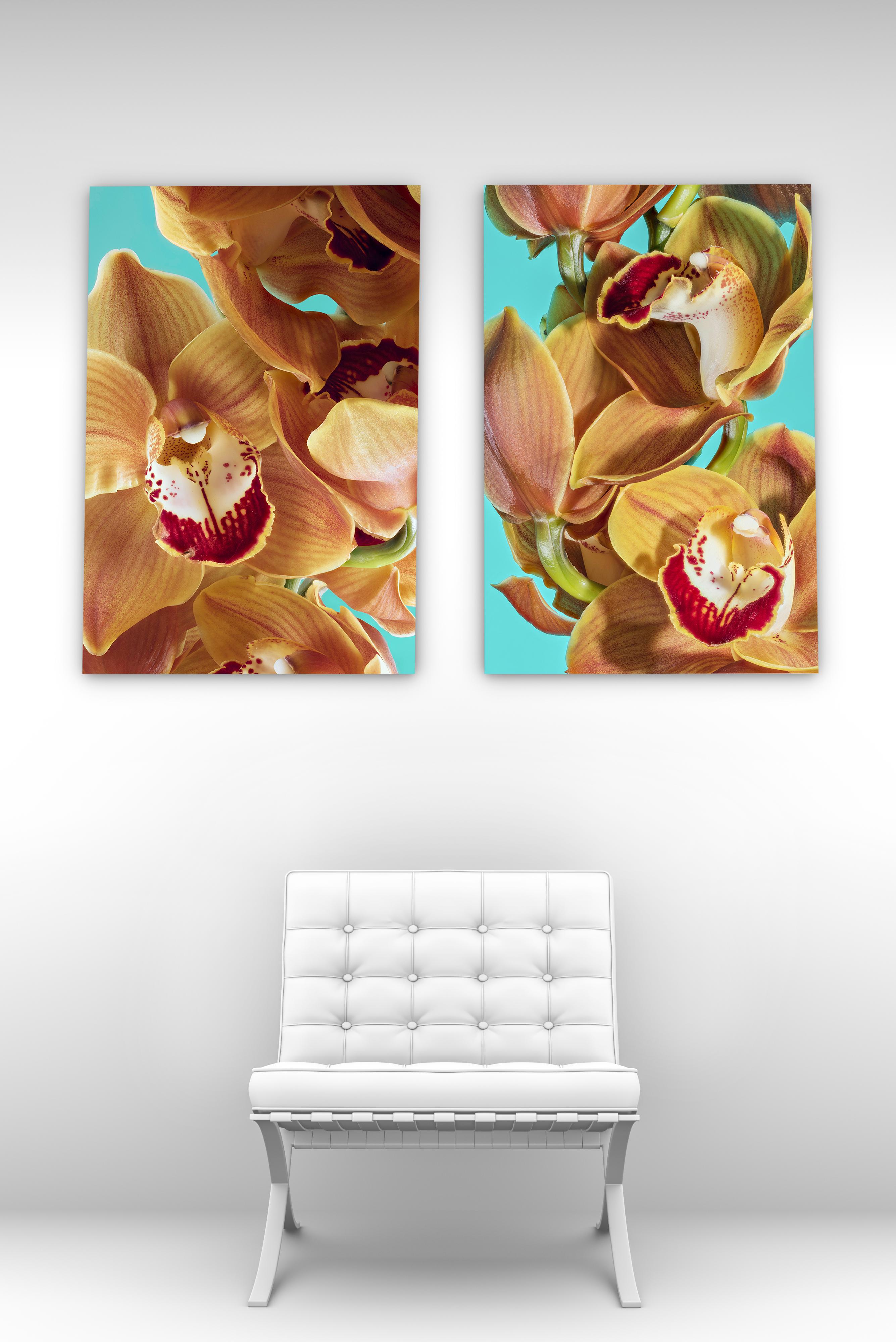 Orchid 01, spring limited edition, on aluminium personally signed, ready to hang - Contemporary Print by Misha and David 