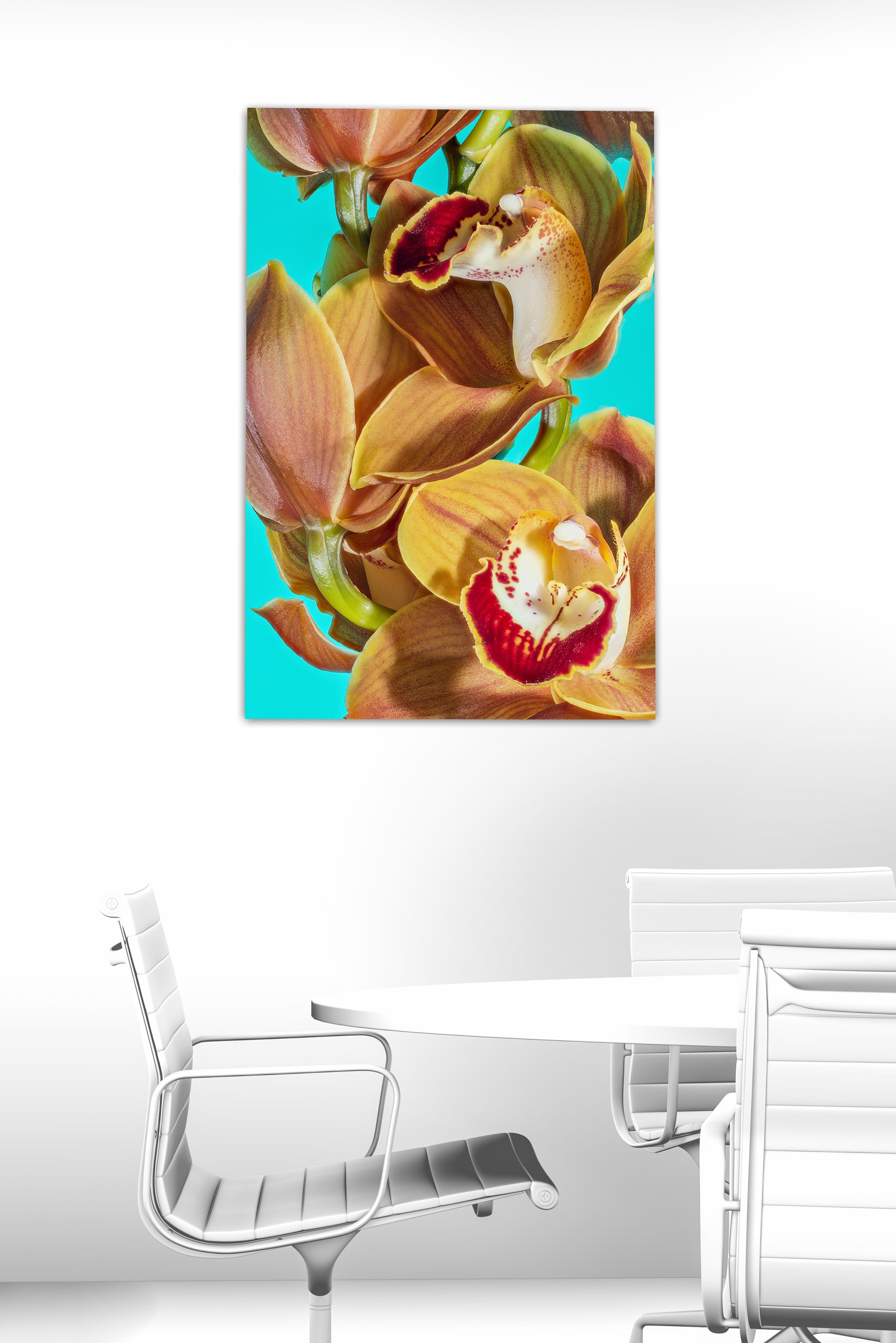 Orchid 03, Spring limited edition, Printed on aluminium, signed by the artist - Contemporary Art by Misha and David 