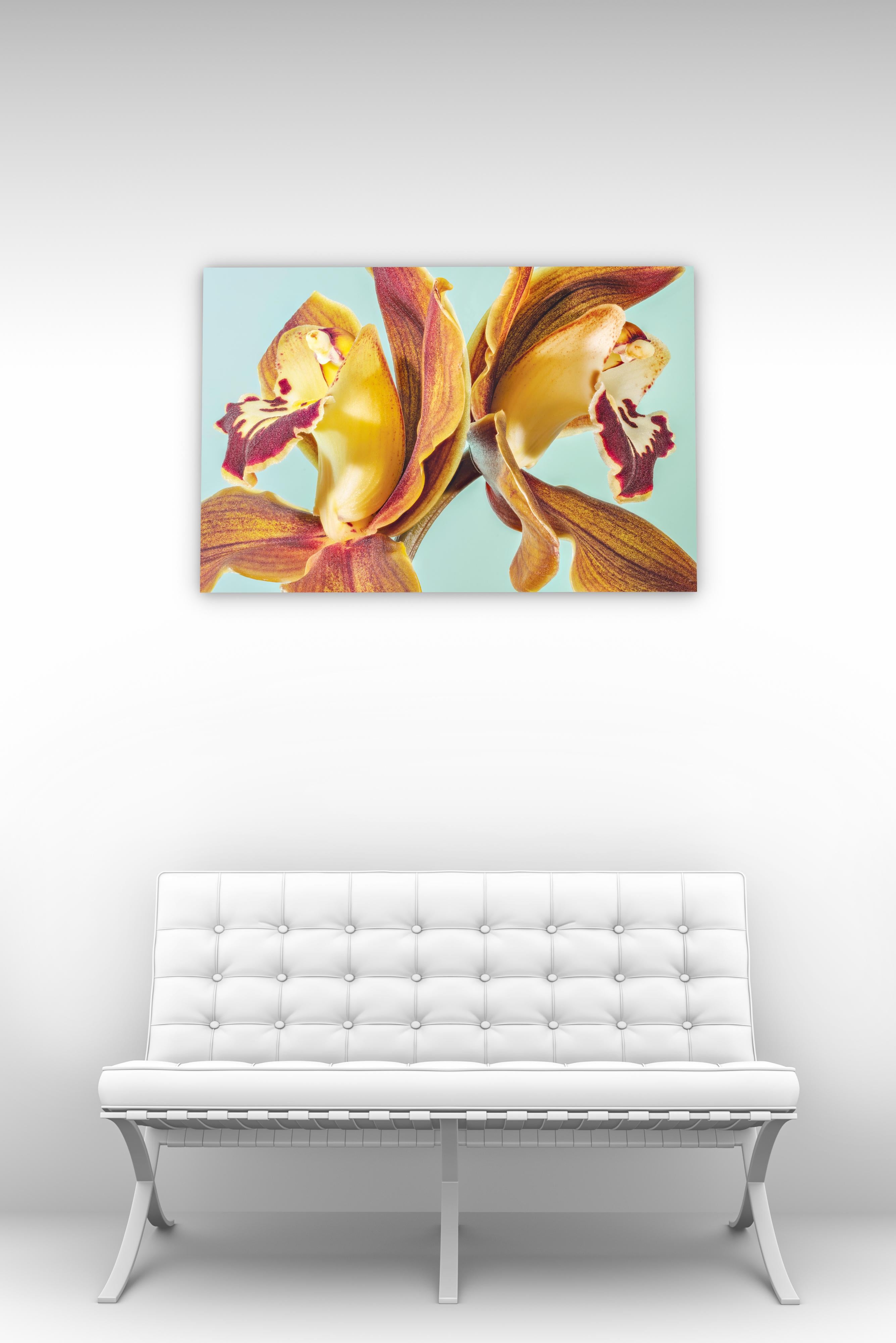 Orchid 04, Spring limited edition, Printed on Aluminium ready to hang Signed  For Sale 1
