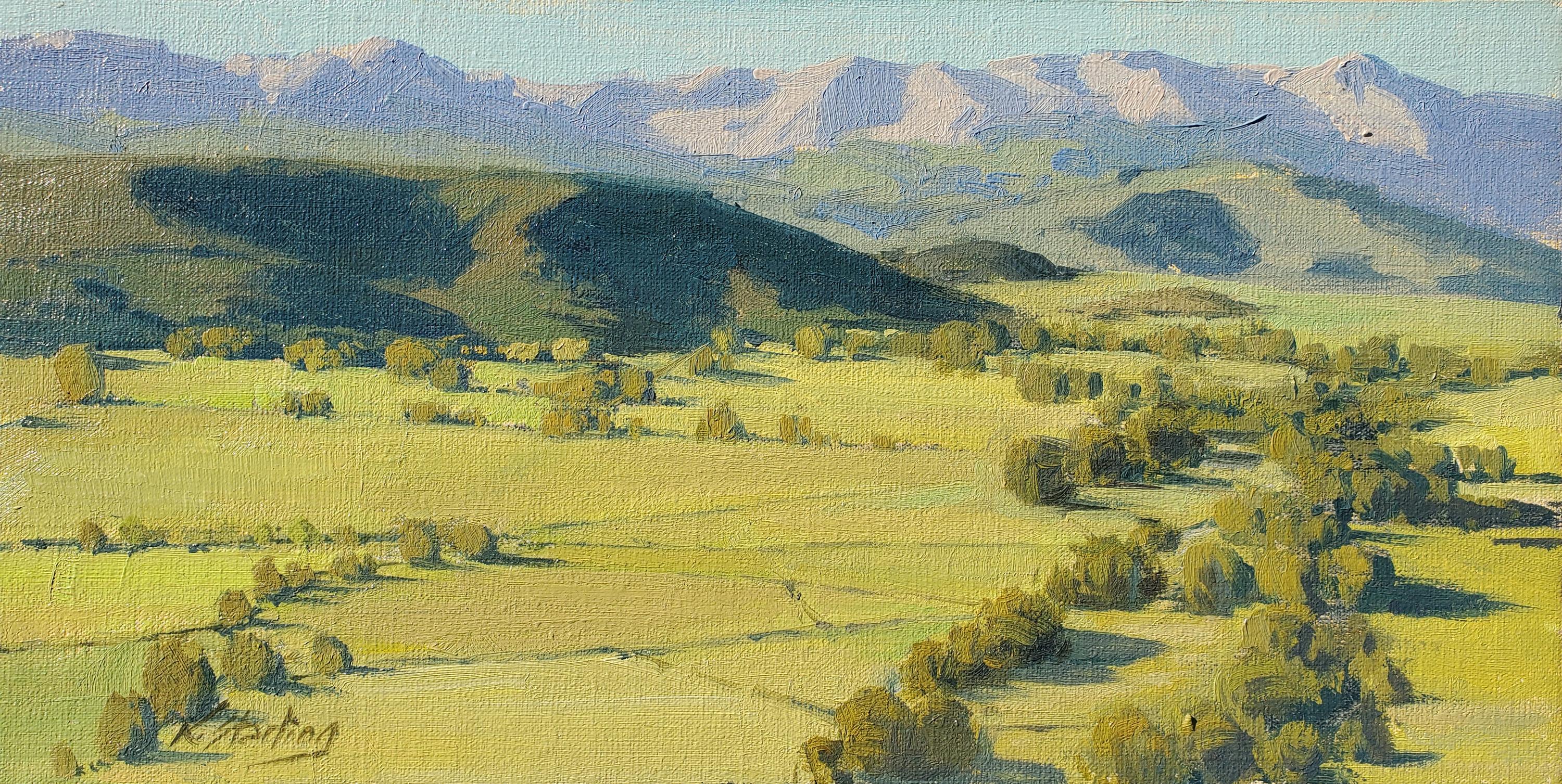 Colorado Fields of Hay (Landscape, Colorado, lush, Coors) - Painting by Kate Starling