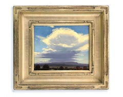 Big Sky (Landscape, Colorado, spacious, sky, Coors)