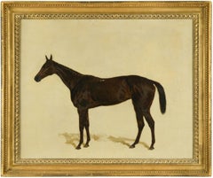 Oil Animal Paintings