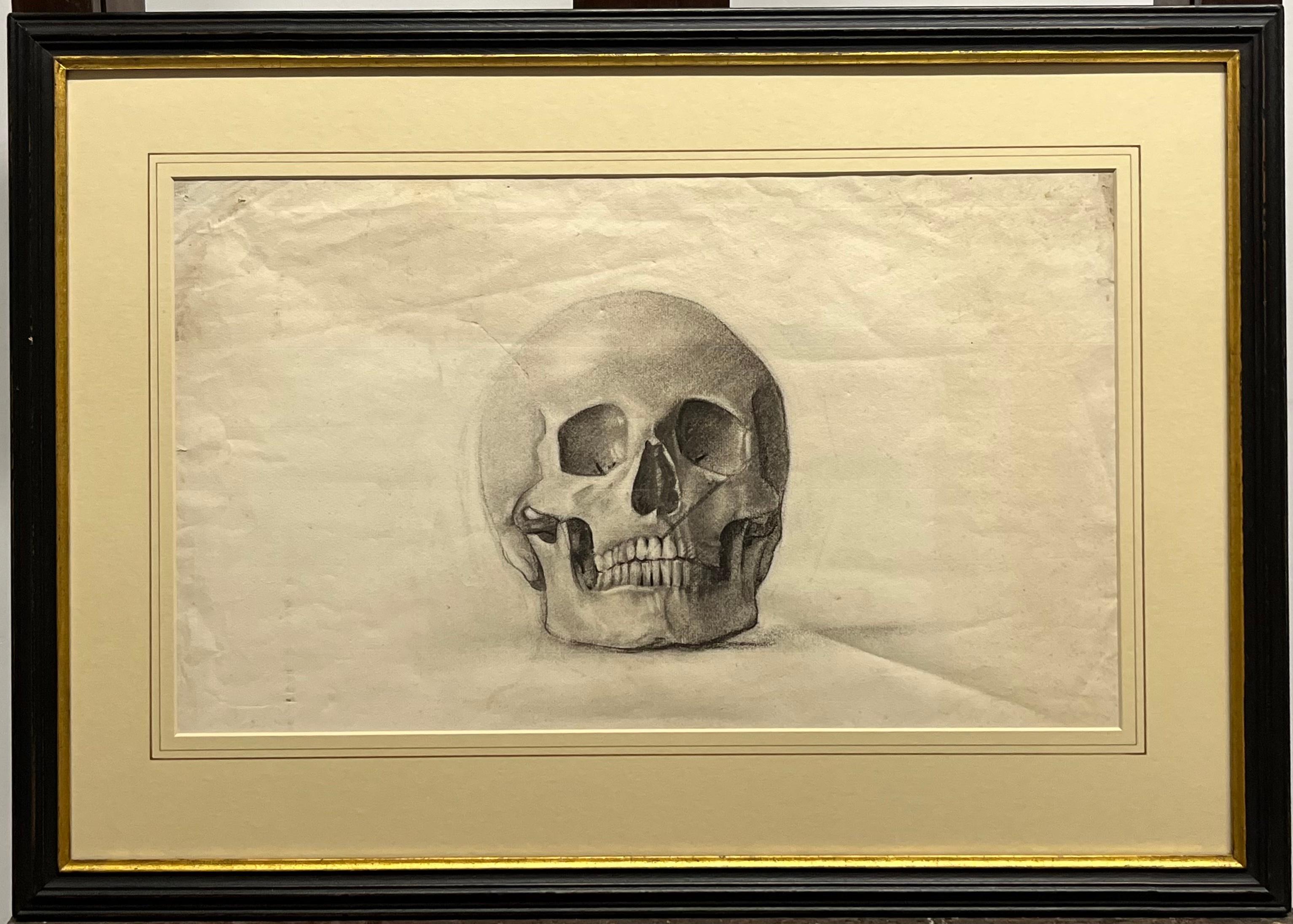 Memento mori – Eine Studie eines Totenkopfs