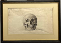 Memento mori - A study of a Skull