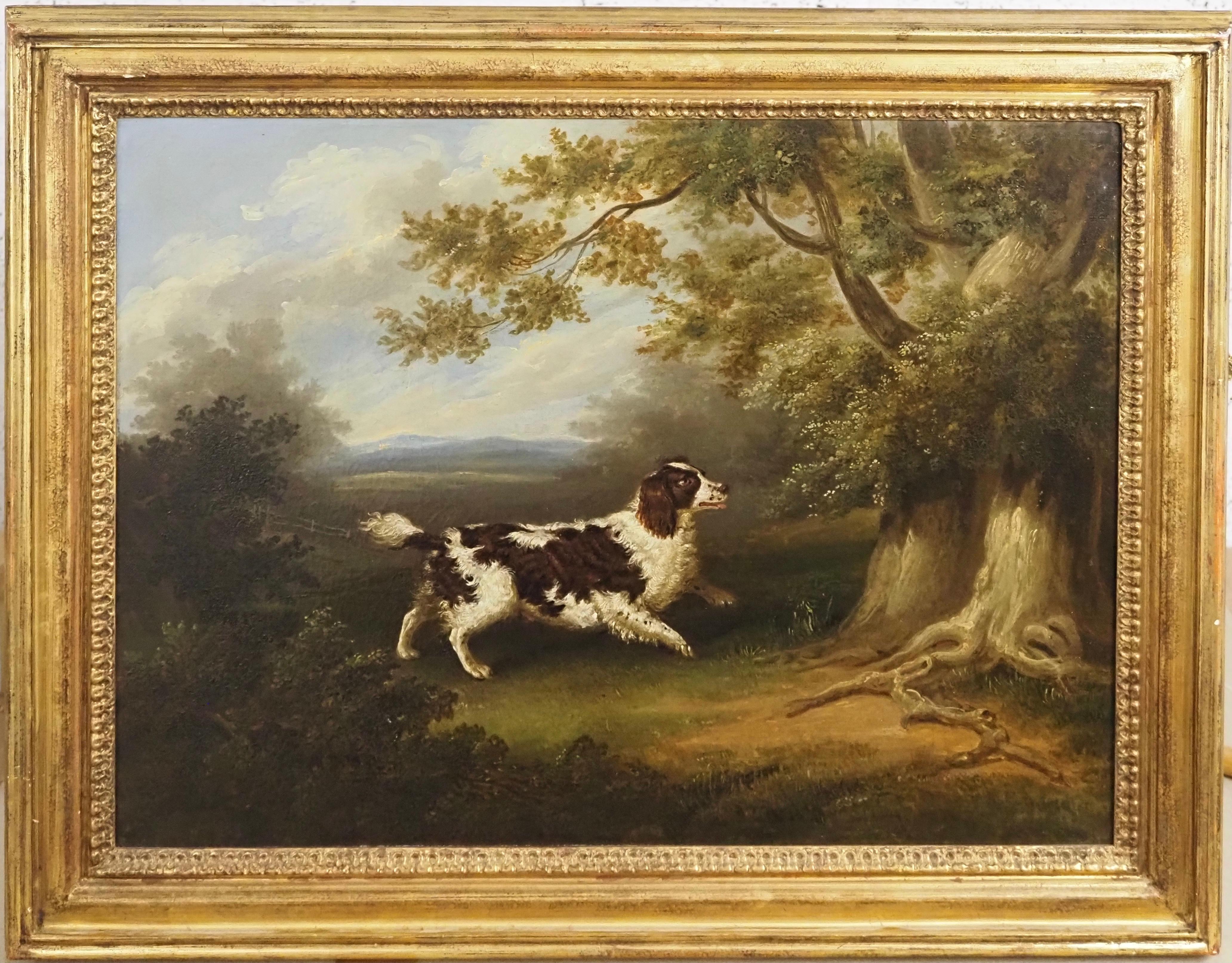 George Jackson Animal Painting - A Spaniel in a wooded landscape