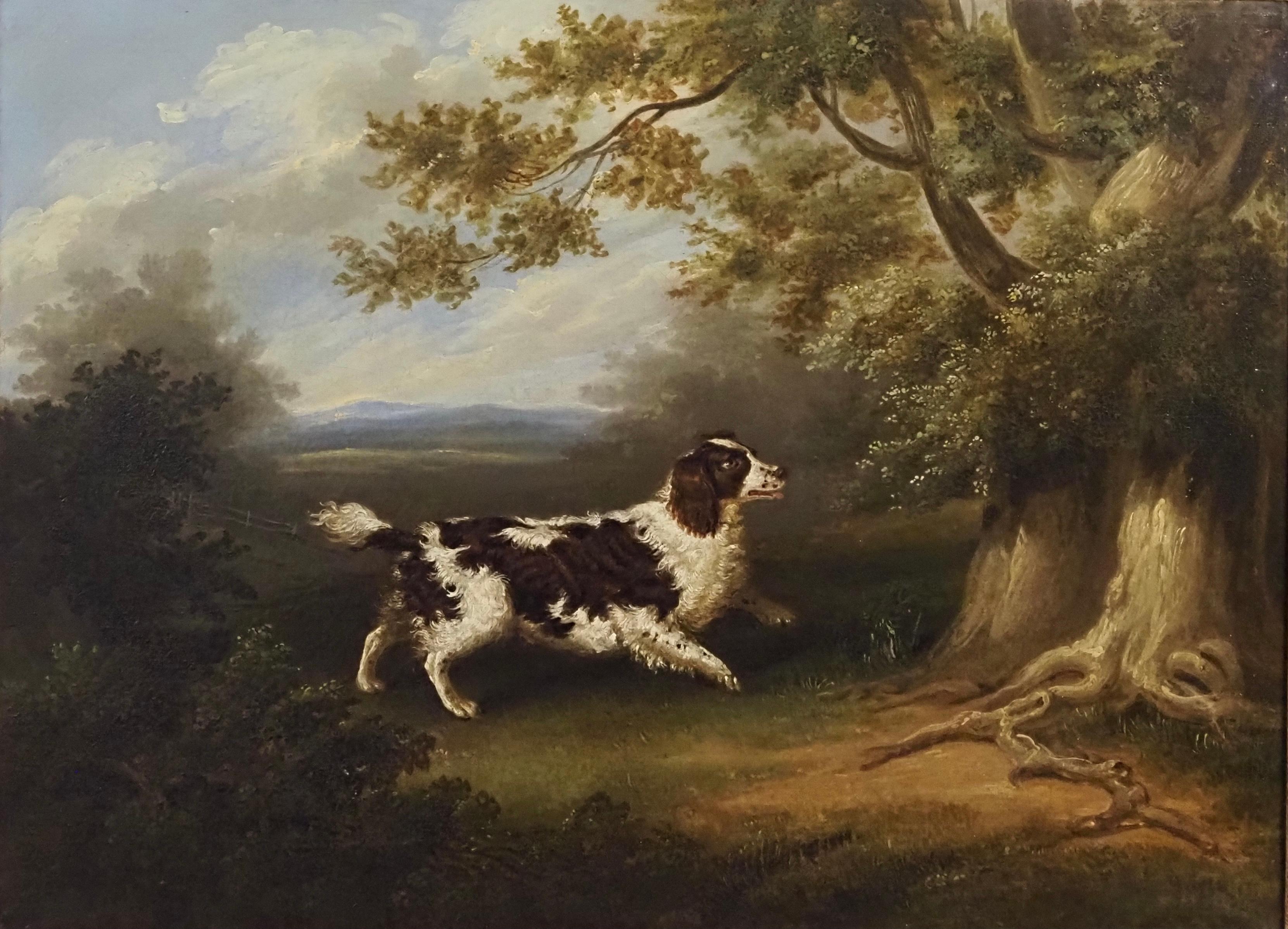 A Spaniel in a wooded landscape - Painting by George Jackson