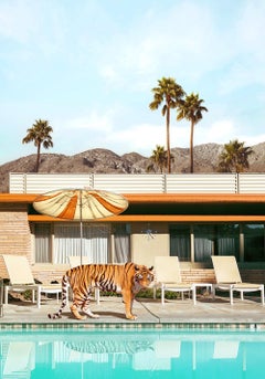 Pool Party Tiger - signed edition print