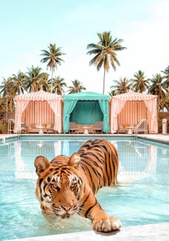Palm Springs Tiger - signed limited edition print
