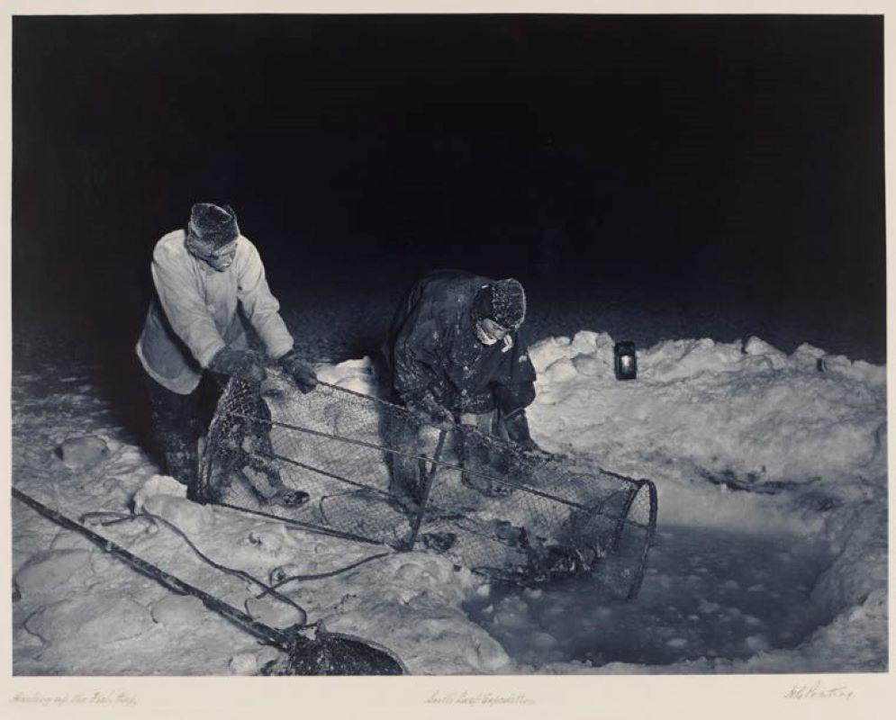 Herbert Ponting Landscape Photograph - Hauling Up The Fish Trap (1910-13)