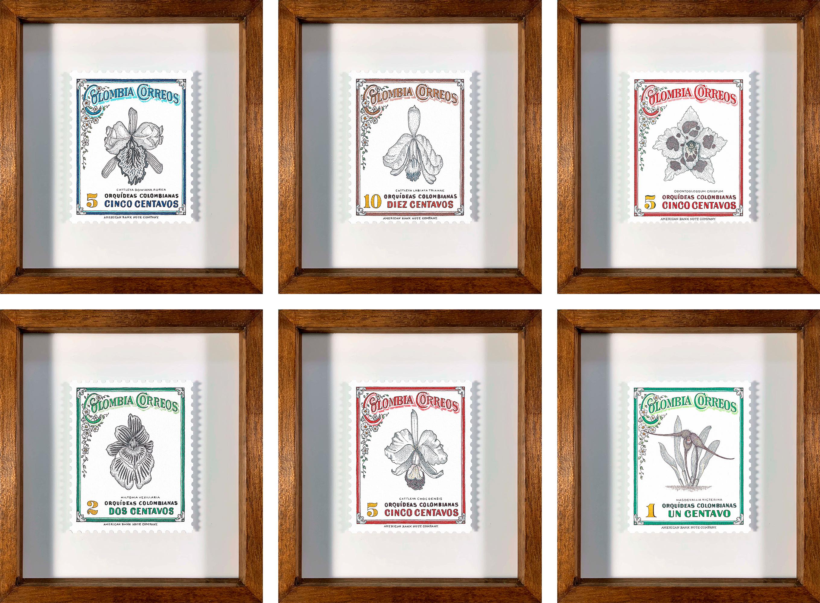 Set de 6 Orquídeas. De la série The Terms and conditions, Still life drawing