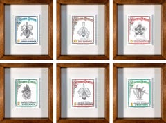 Set of 6 Orquídeas (Framed) From The Terms and conditions series 
