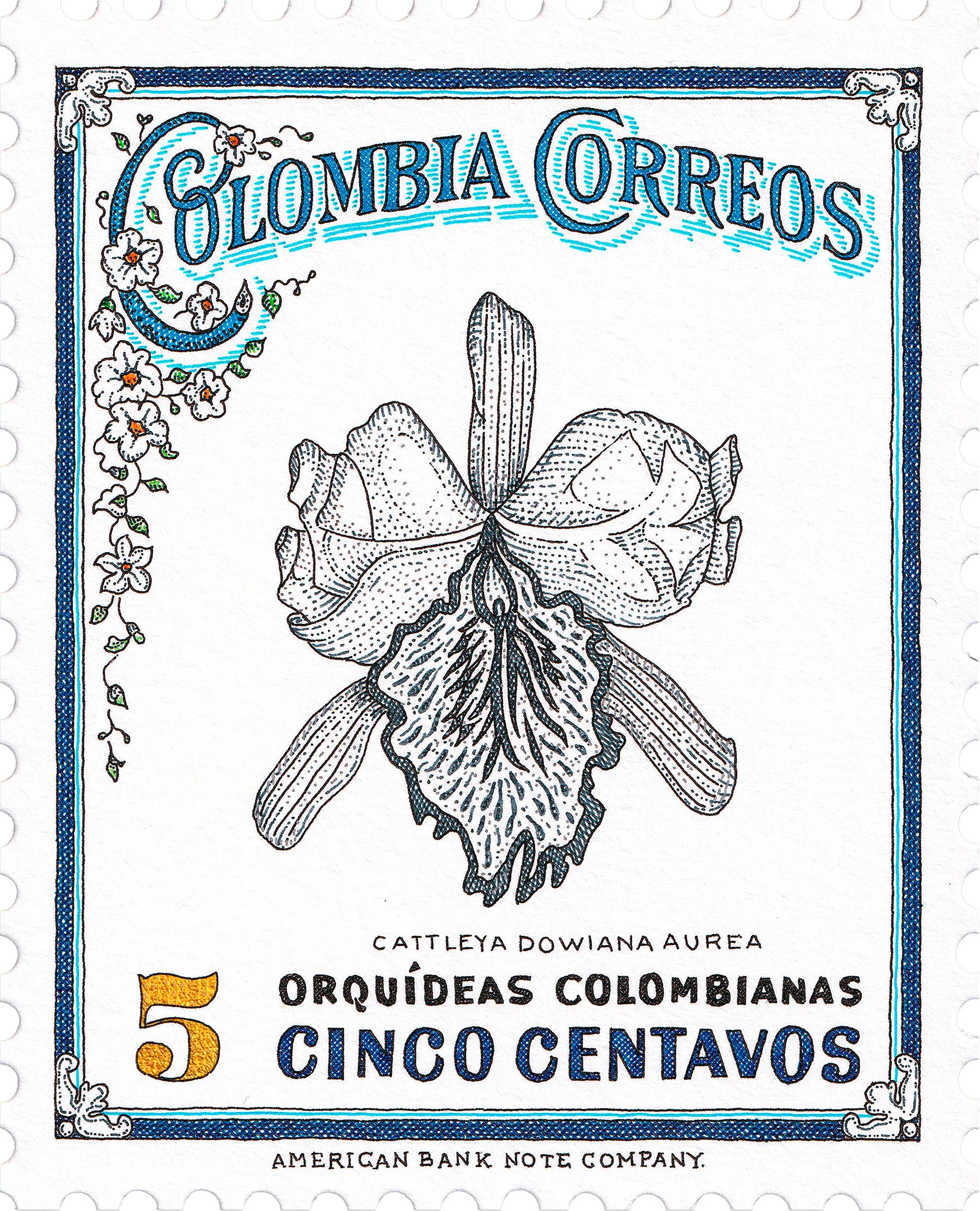 Set of 6 Orquídeas. From The Terms and conditions series, Still life drawing - Print by Rodrigo Spinel 
