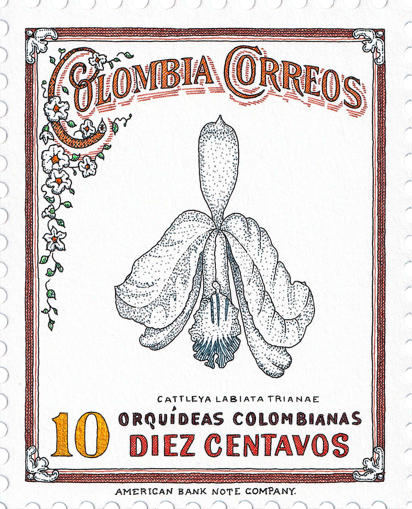 Satz von 6 Orquídeas. Aus der Serie Die Bedingungen und Konditionen, Stillleben (Abstrakt), Print, von Rodrigo Spinel 