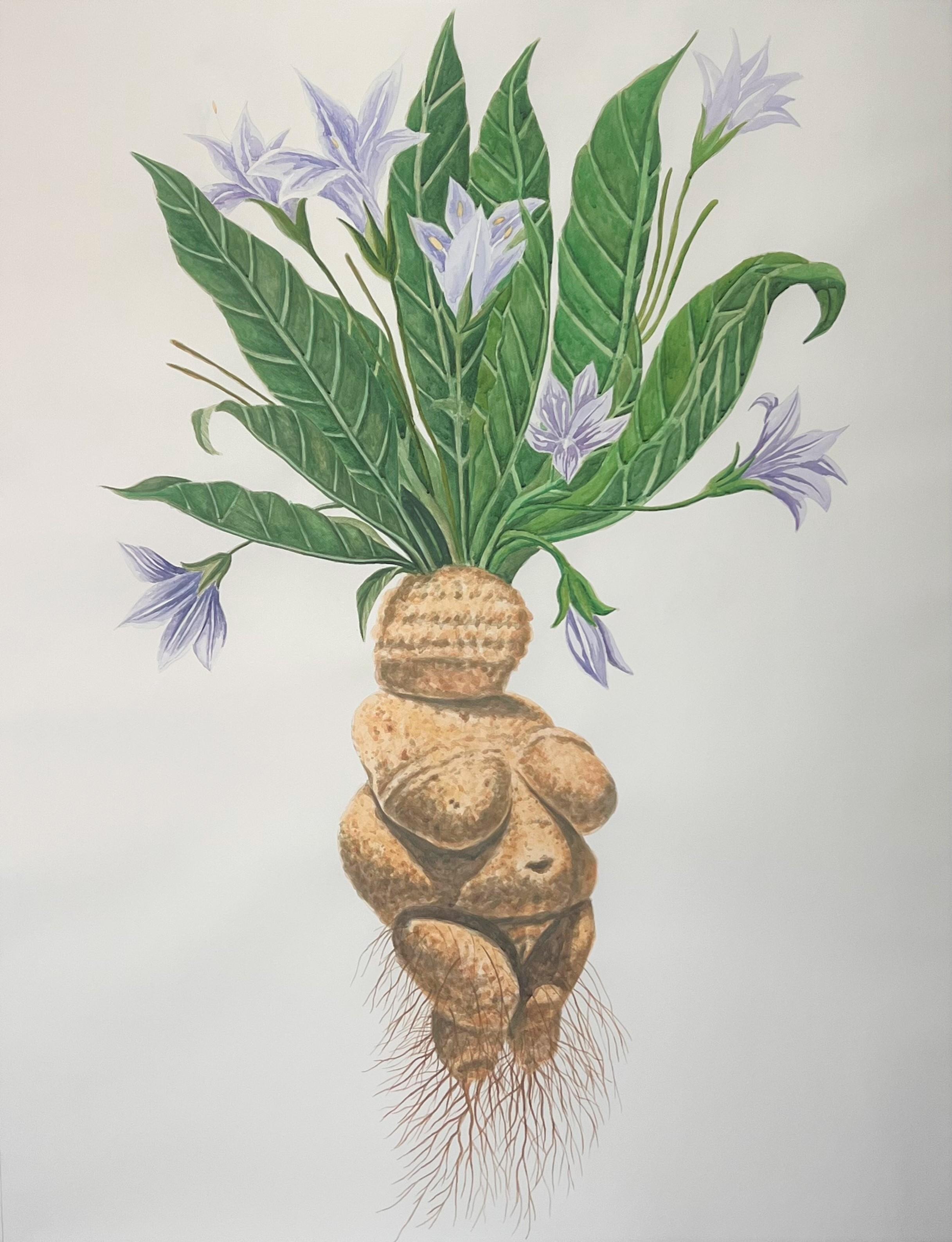 MANDRAGORA. Dalla Serie Doble Standard. Pittura ad acquerello