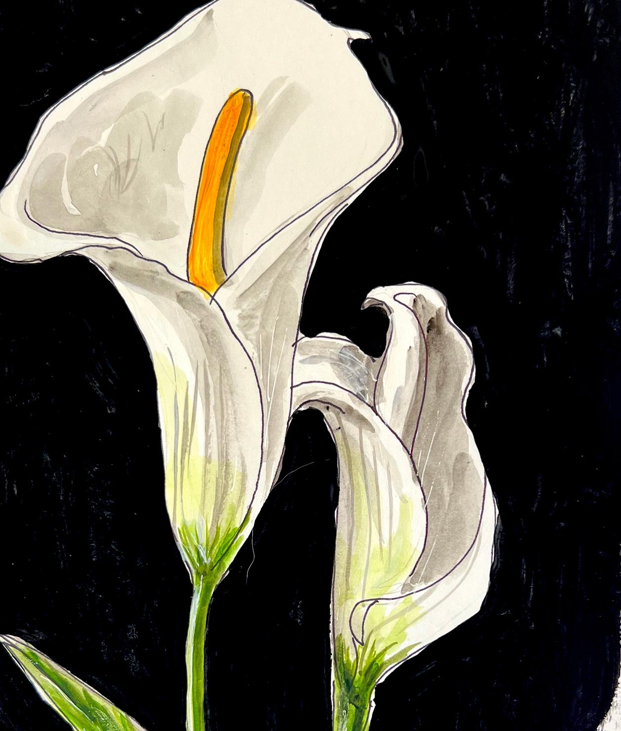 Cala Lily, Watercolor on paper.  Sill life Painting For Sale 1