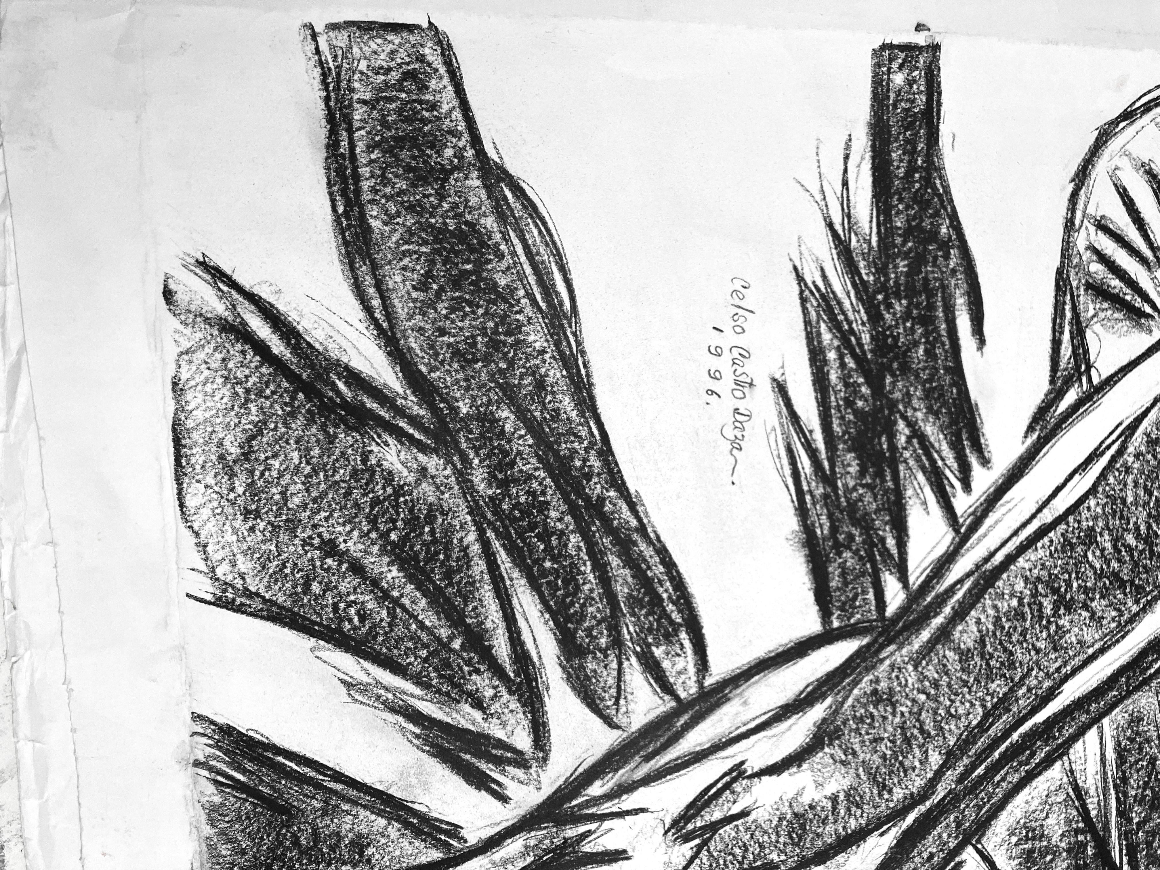 Sans titre, 1996  par Celso Castro
Crayon sur papier d'archivage
Taille de l'image : 39 H in. x 48 in. W 
Taille de la feuille : 43 H in. x 59 in. W 
Non encadré
____________
Indéfinies par le médium, les œuvres de Celso Castro portent chacune la