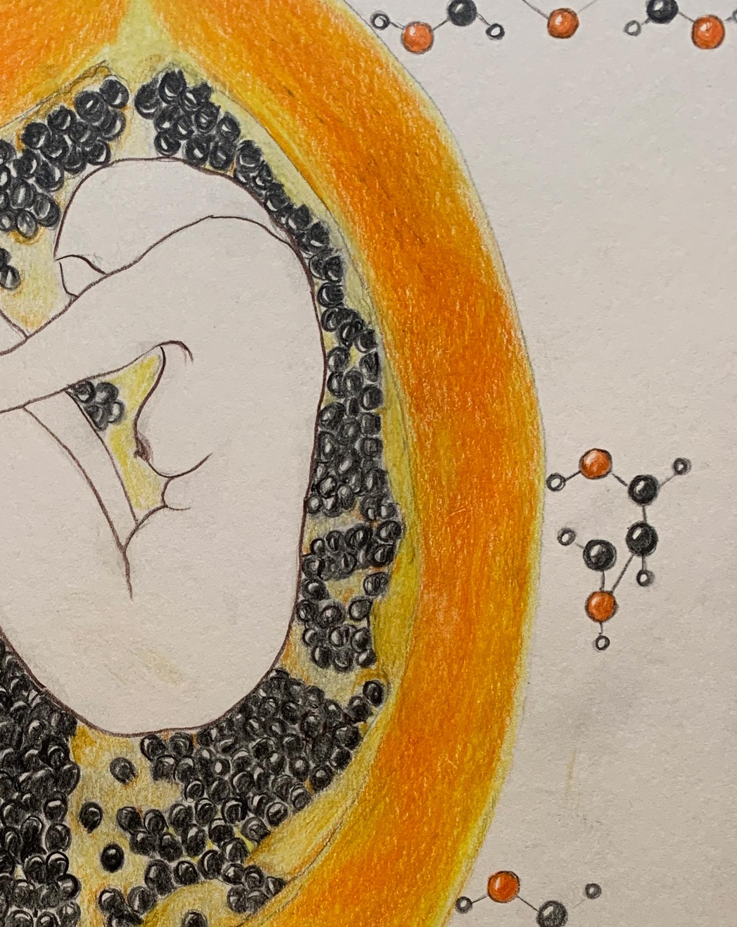 République de Papaye. Dessins de la série covid diaries - Abstrait Art par Megha Joshi