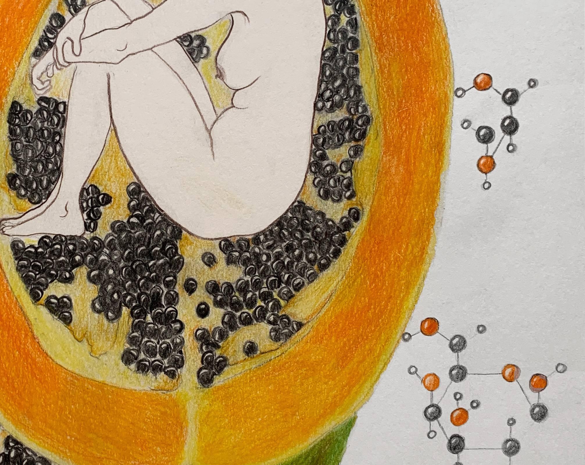 Papaya-Republik. Zeichnungen aus der Serie der covid diaries (Abstrakt), Art, von Megha Joshi