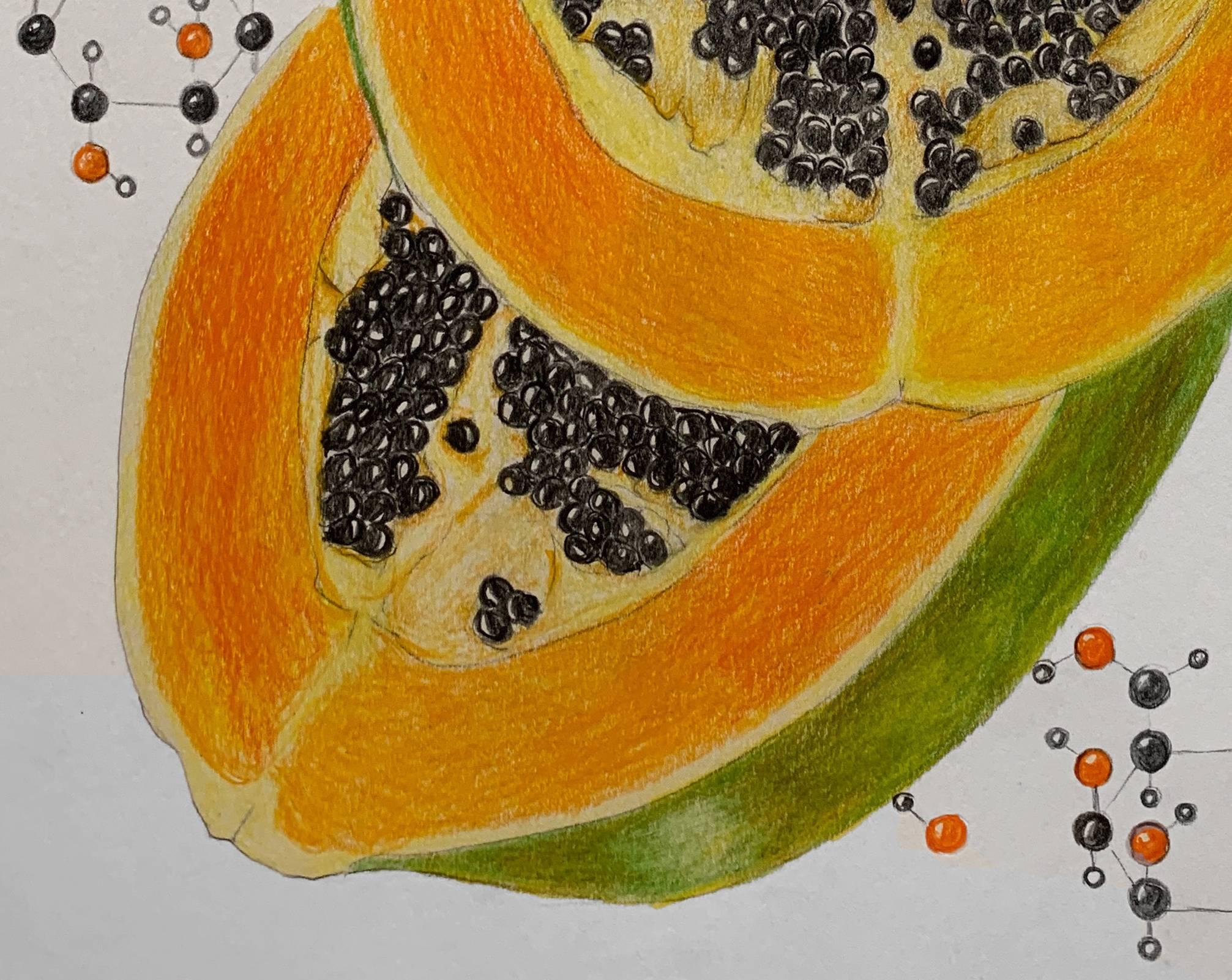 Papaya-Republik. Zeichnungen aus der Serie der covid diaries (Beige), Figurative Art, von Megha Joshi