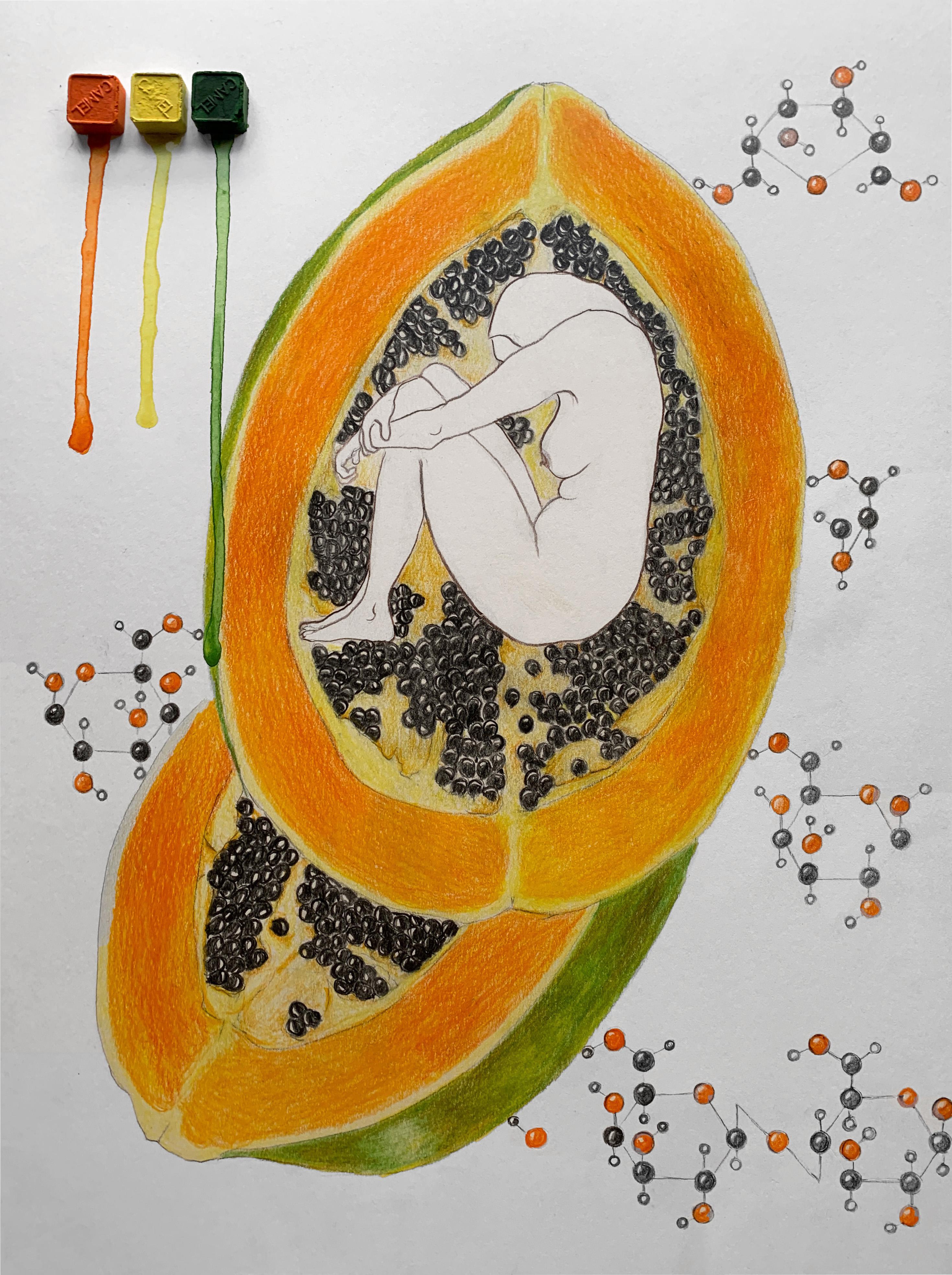Megha Joshi Figurative Art - Papaya Republic. Drawings From the covid diaries series
