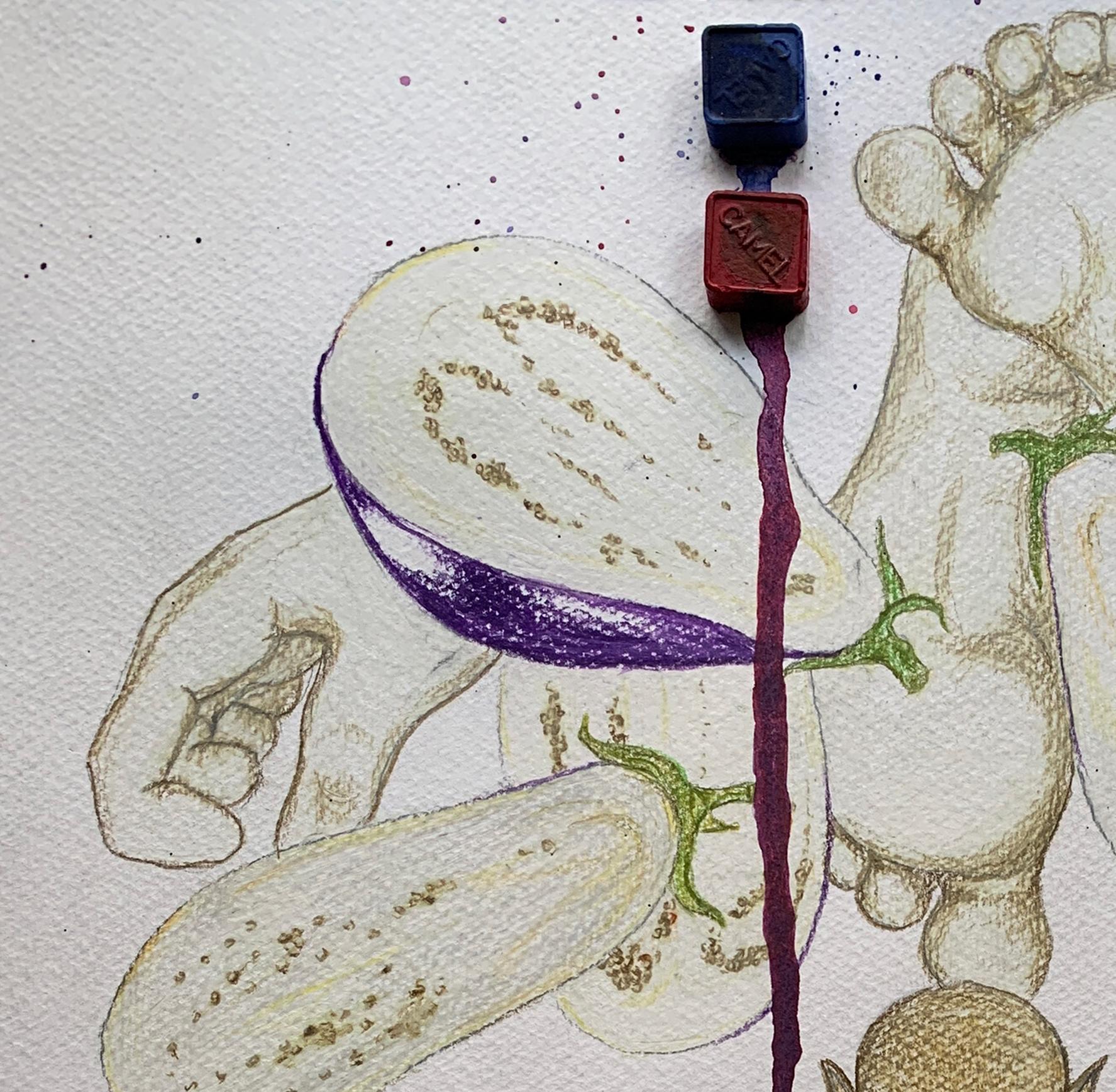 Santuario de la berenjena. Dibujos de la serie Diarios covídicos - Art de Megha Joshi