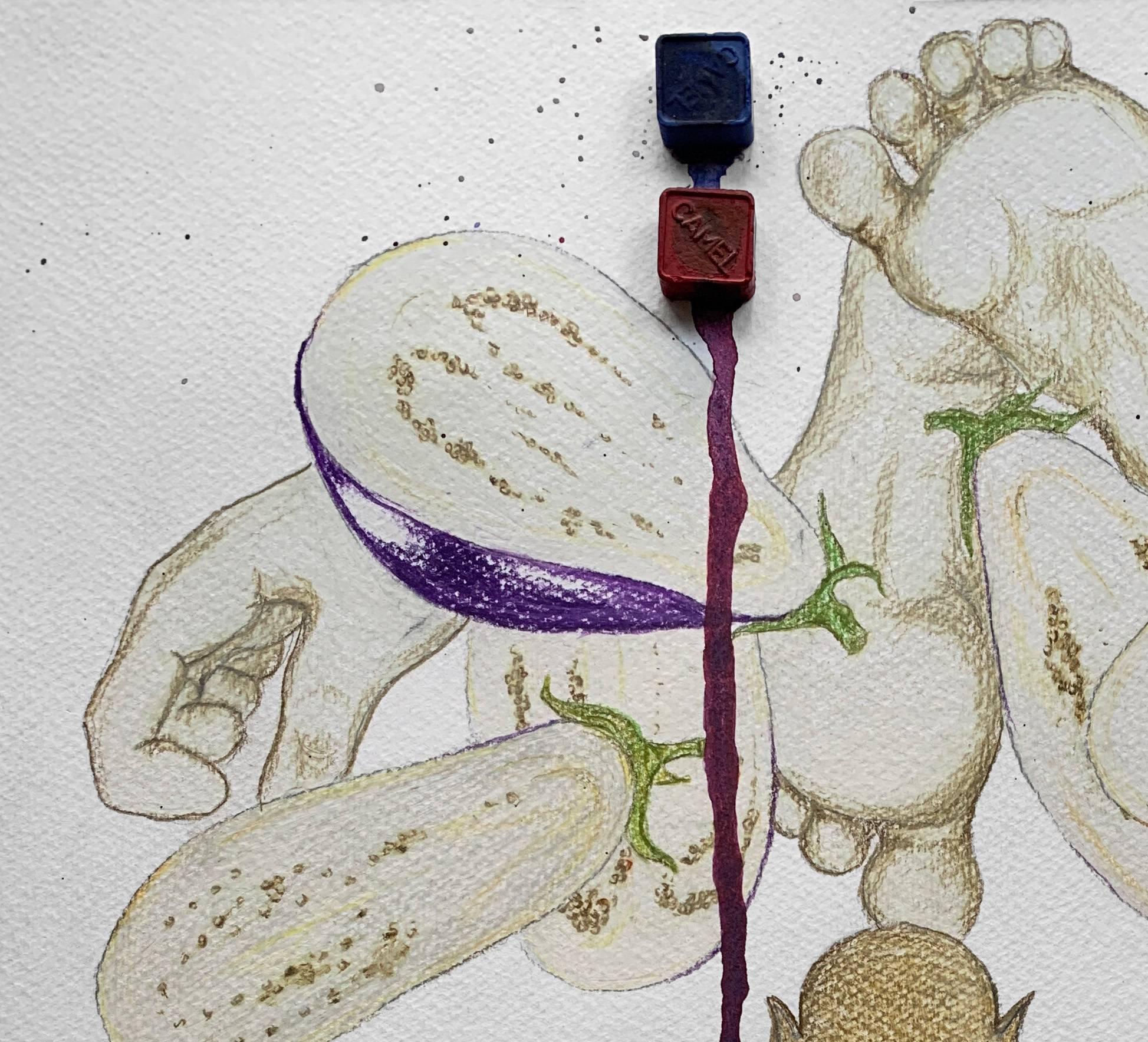 Santuario del Brinjal. Disegni dalla serie dei diari di covid - Art di Megha Joshi