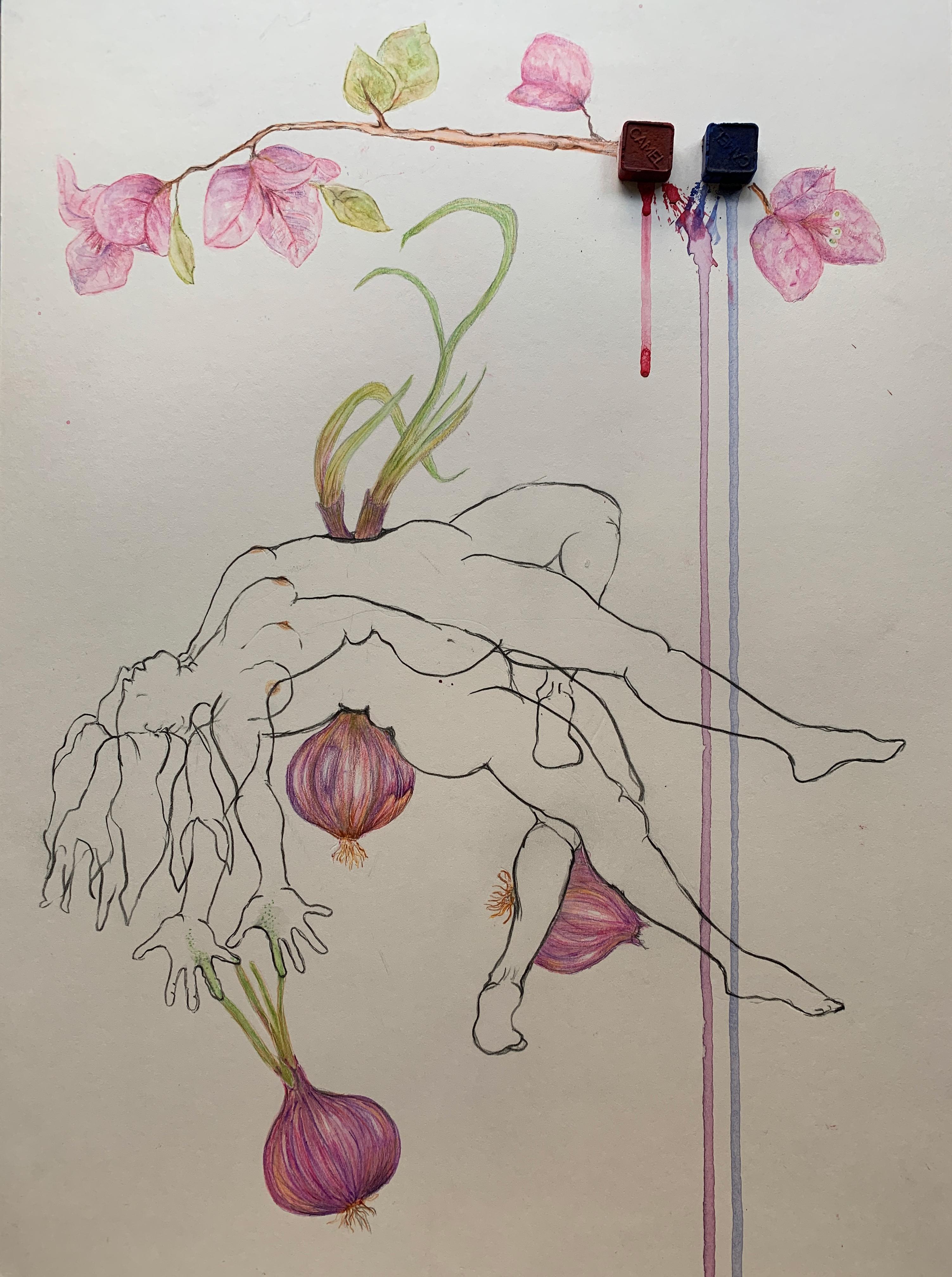 Megha Joshi Figurative Art – Die Zwiebeln piercen, die Bougainvillea sind heftig. Aus der Reihe der Covid-Tagebücher