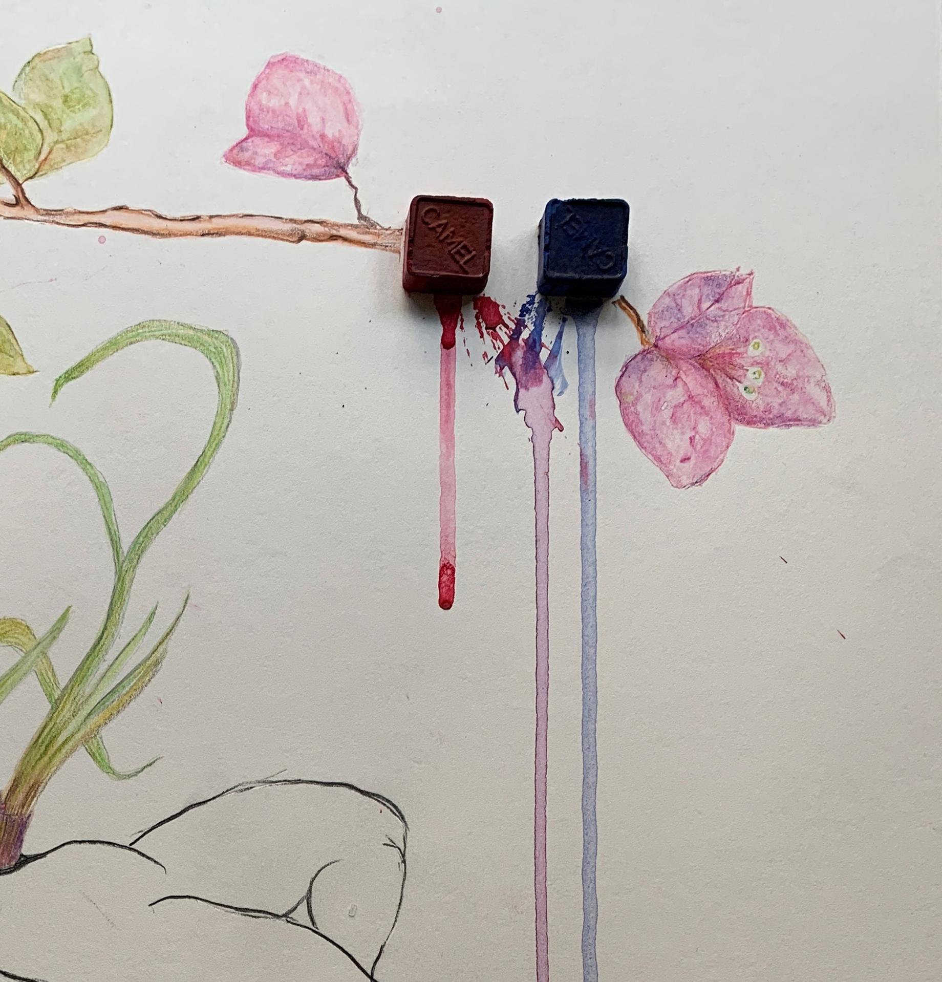 Die Zwiebeln piercen, die Bougainvillea sind heftig. Aus der Reihe der Covid-Tagebücher (Grau), Figurative Art, von Megha Joshi