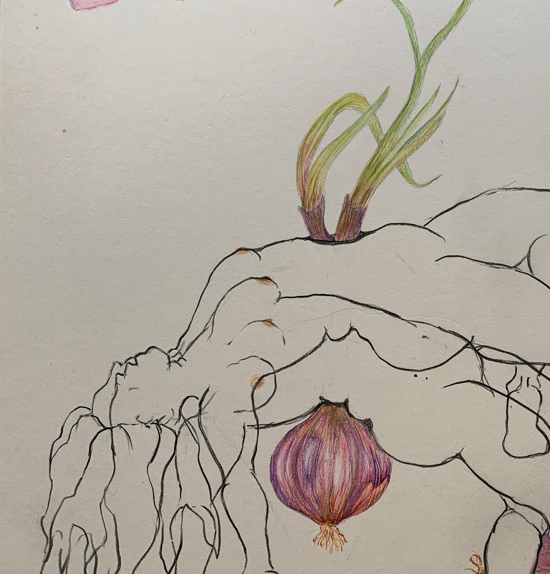 Die Zwiebeln piercen, die Bougainvillea sind heftig. Aus der Reihe der Covid-Tagebücher – Art von Megha Joshi