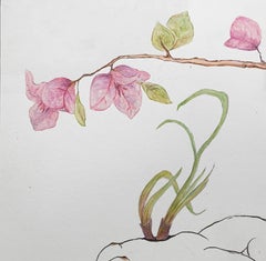 While the onions pierce, Bougainvillea are Fierce. From the covid diaries series