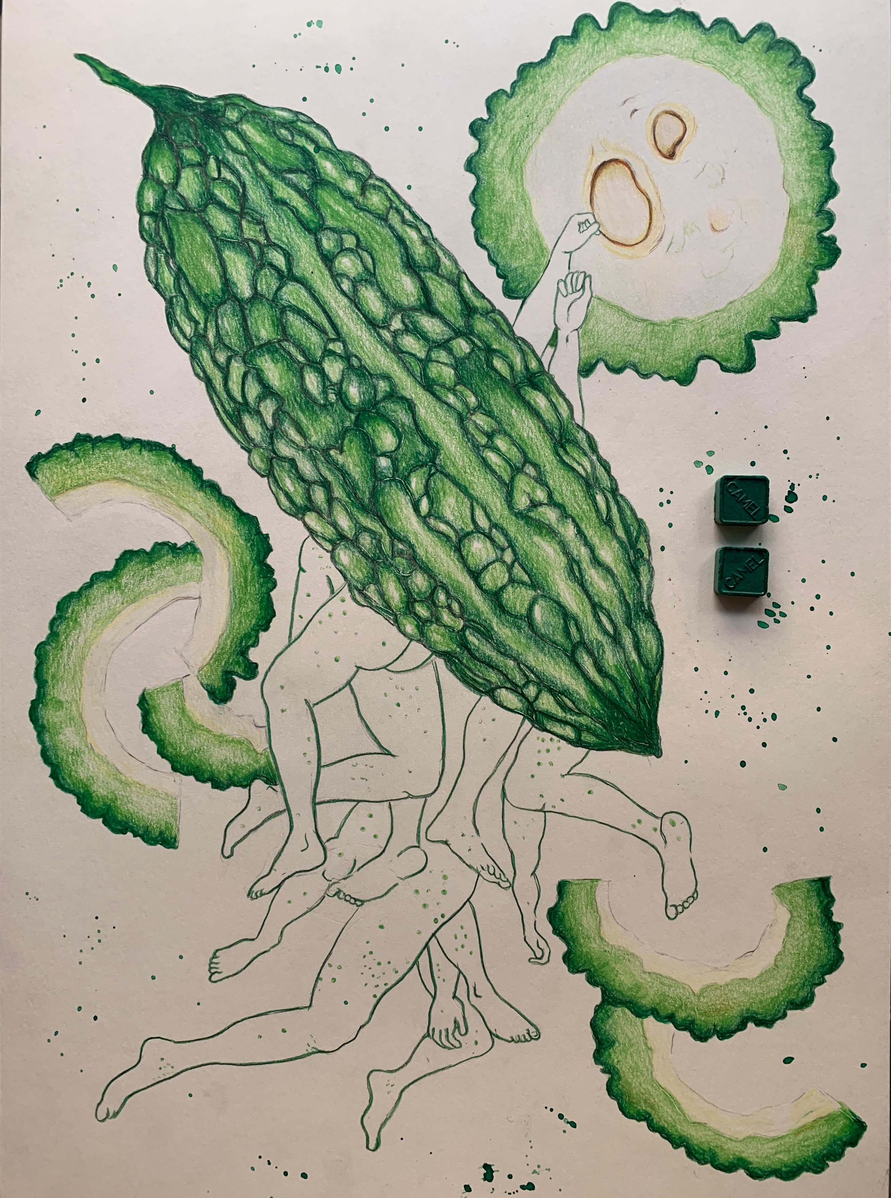 Tiempos amargos, Santuario de la berenjena y República de la papaya. De la serie Diarios covídicos - Art de Megha Joshi