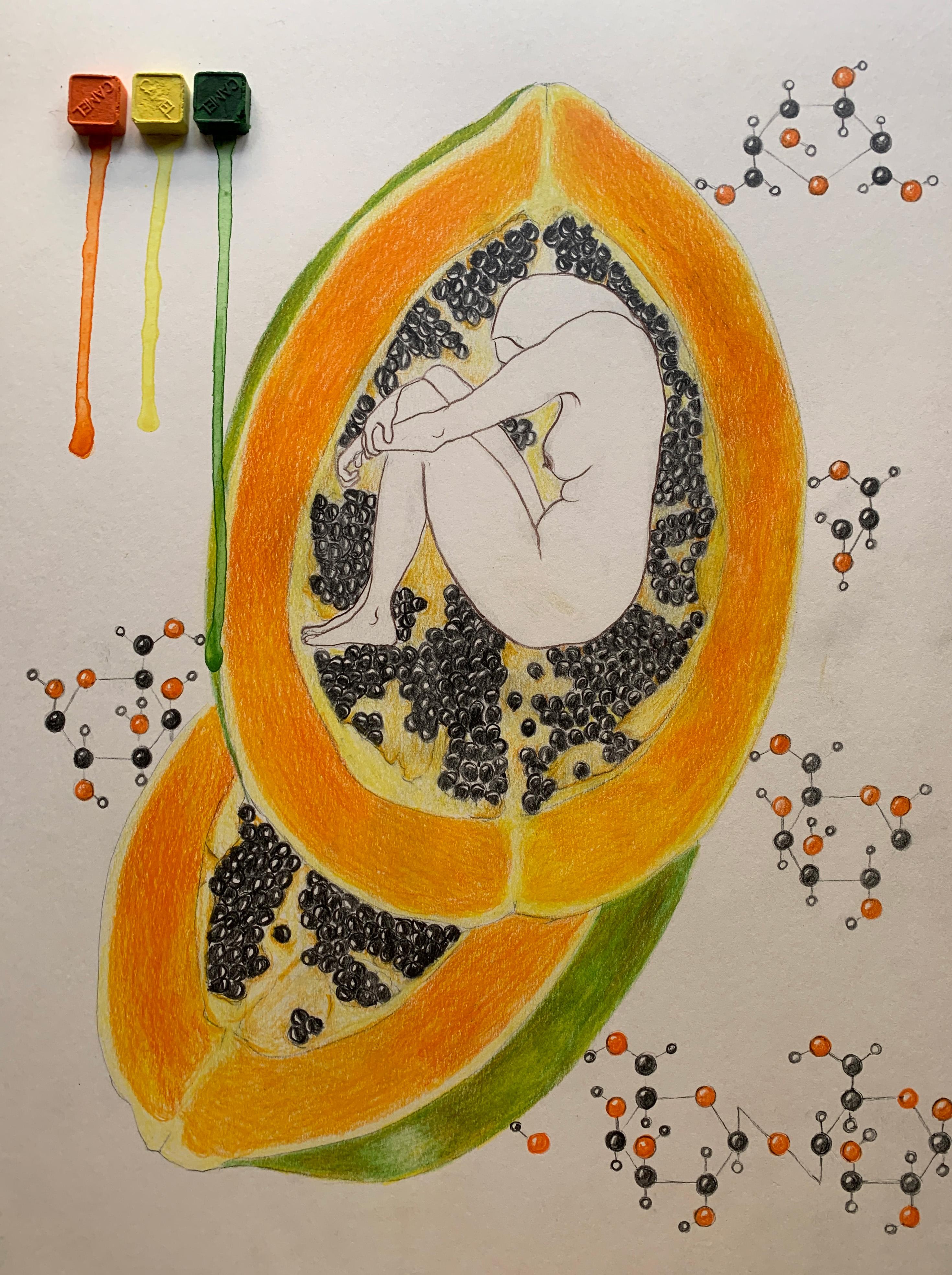 Tiempos amargos, Santuario de la berenjena y República de la papaya. De la serie Diarios covídicos - Figurative Art Marrón de Megha Joshi