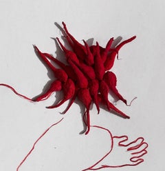 XVI De la Serie Roja