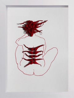 XII De La Serie Roja