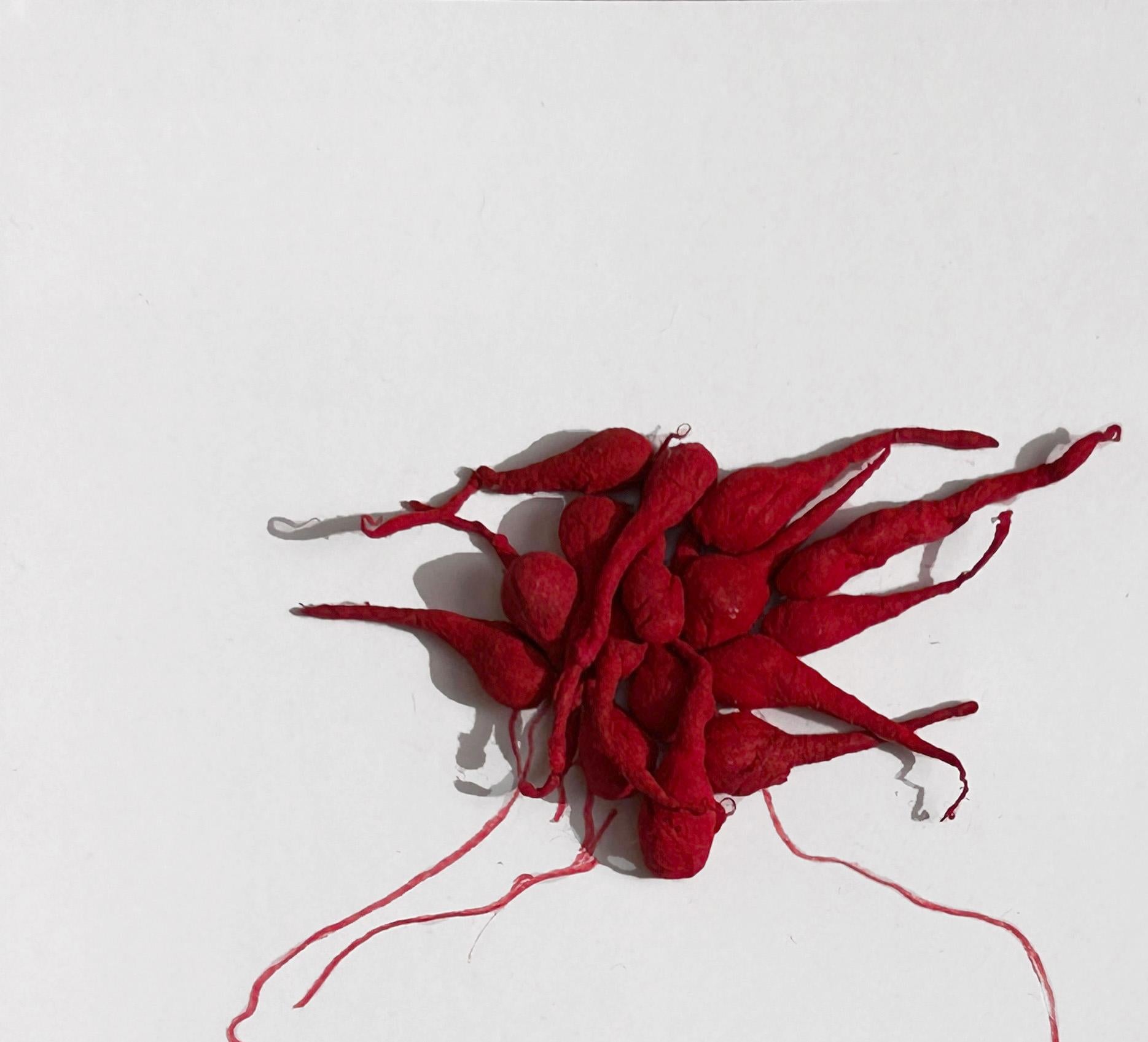 XII From The Red Series - Art by Megha Joshi