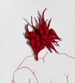 XV de la série rouge