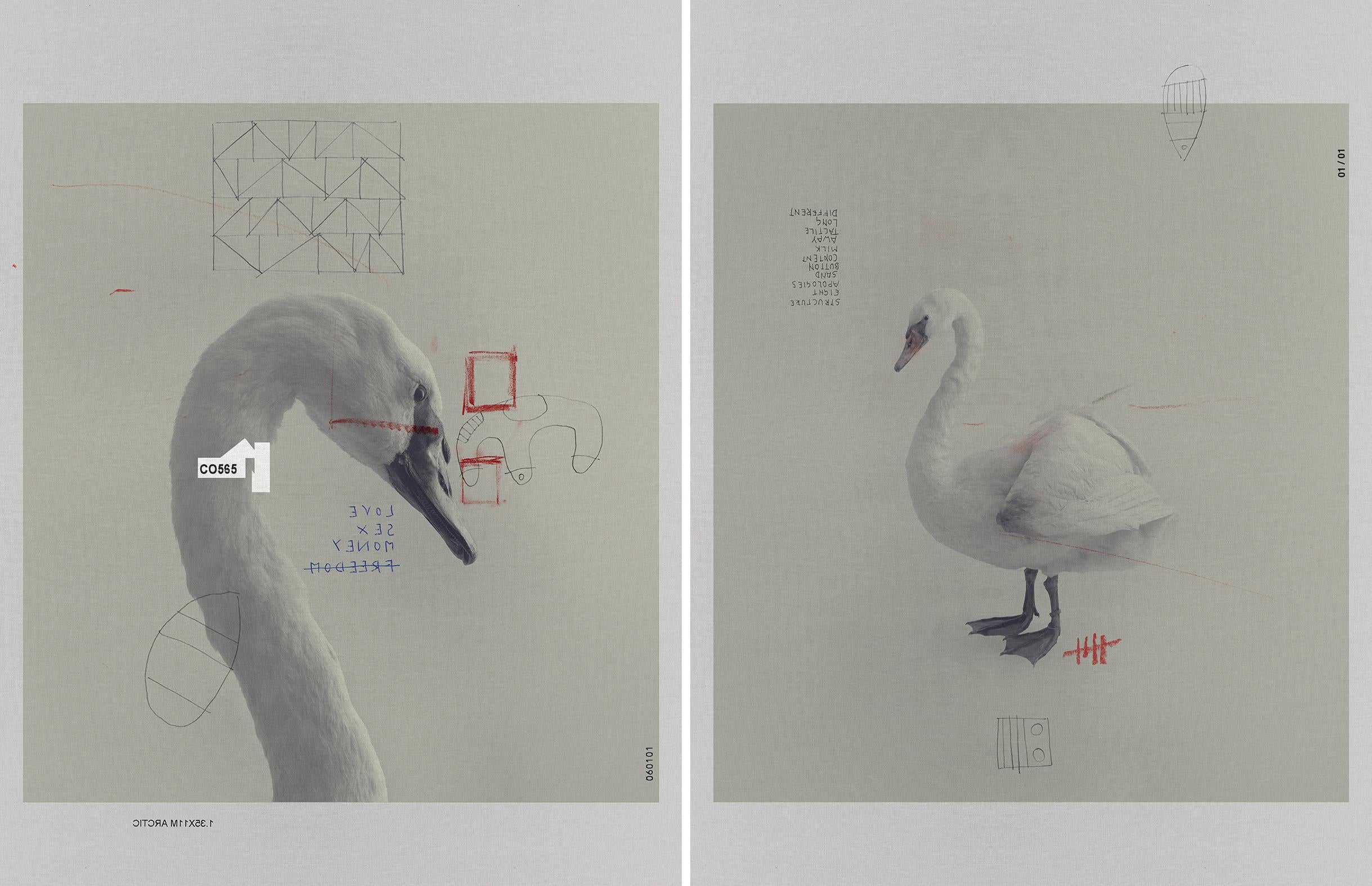 0971 und 1785, Diptychon. Aus der Serie ONE