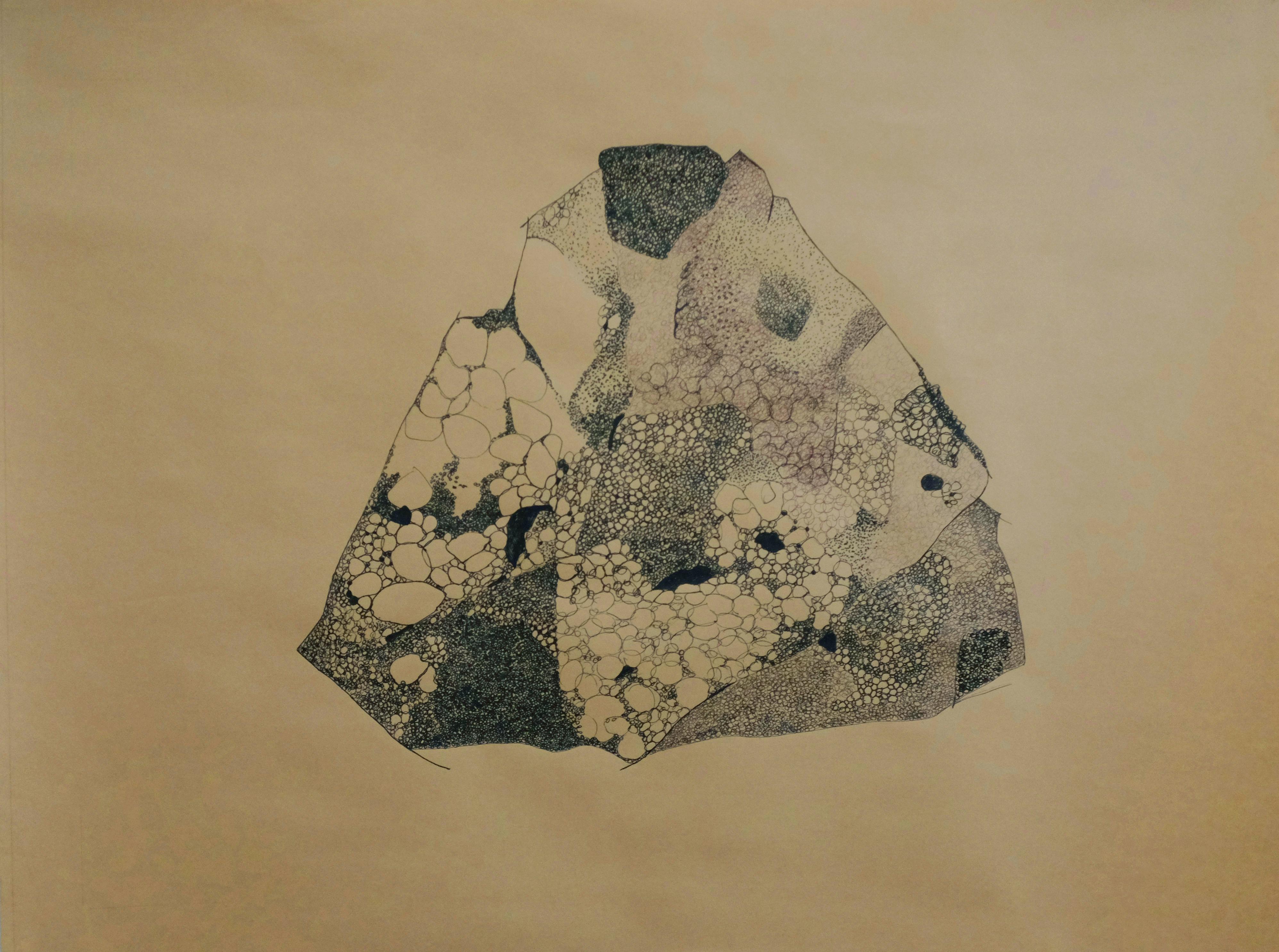 Anamorphia N1. Works on paper - Art by Rita Alaoui