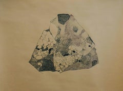 Anamorphia N1. Works on paper