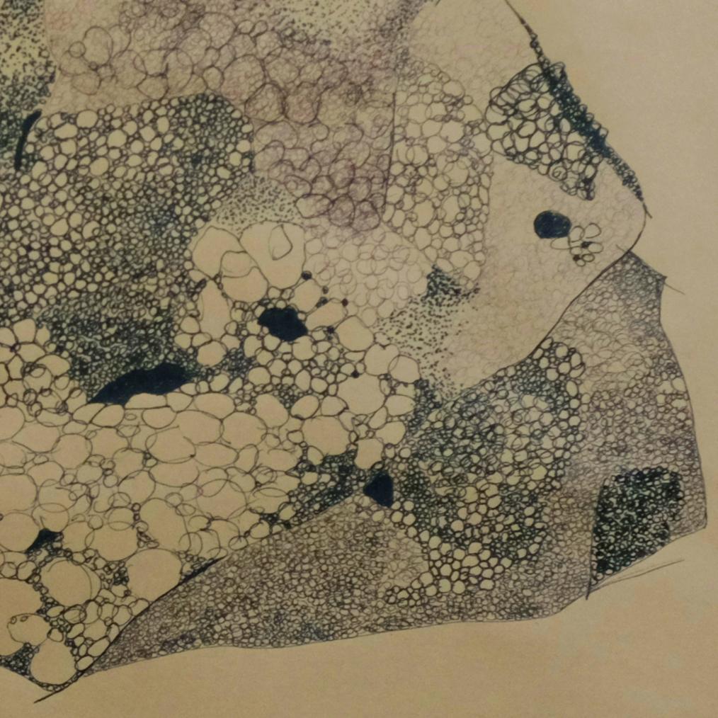 Rita Alaoui continues and transforms the visual language explored in Objets trouvés. Here, the medium shifts: kraft paper lends warmth, ink introduces a more gestural, fluid mark-making, and the forms themselves become less literal, more ethereal.