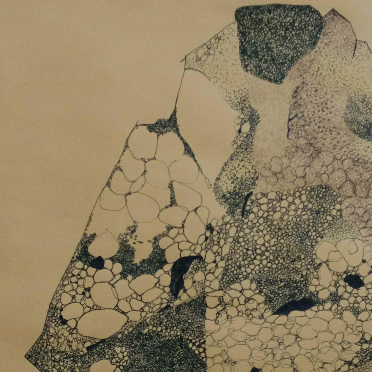 Anamorphia N1. Works on paper For Sale 1