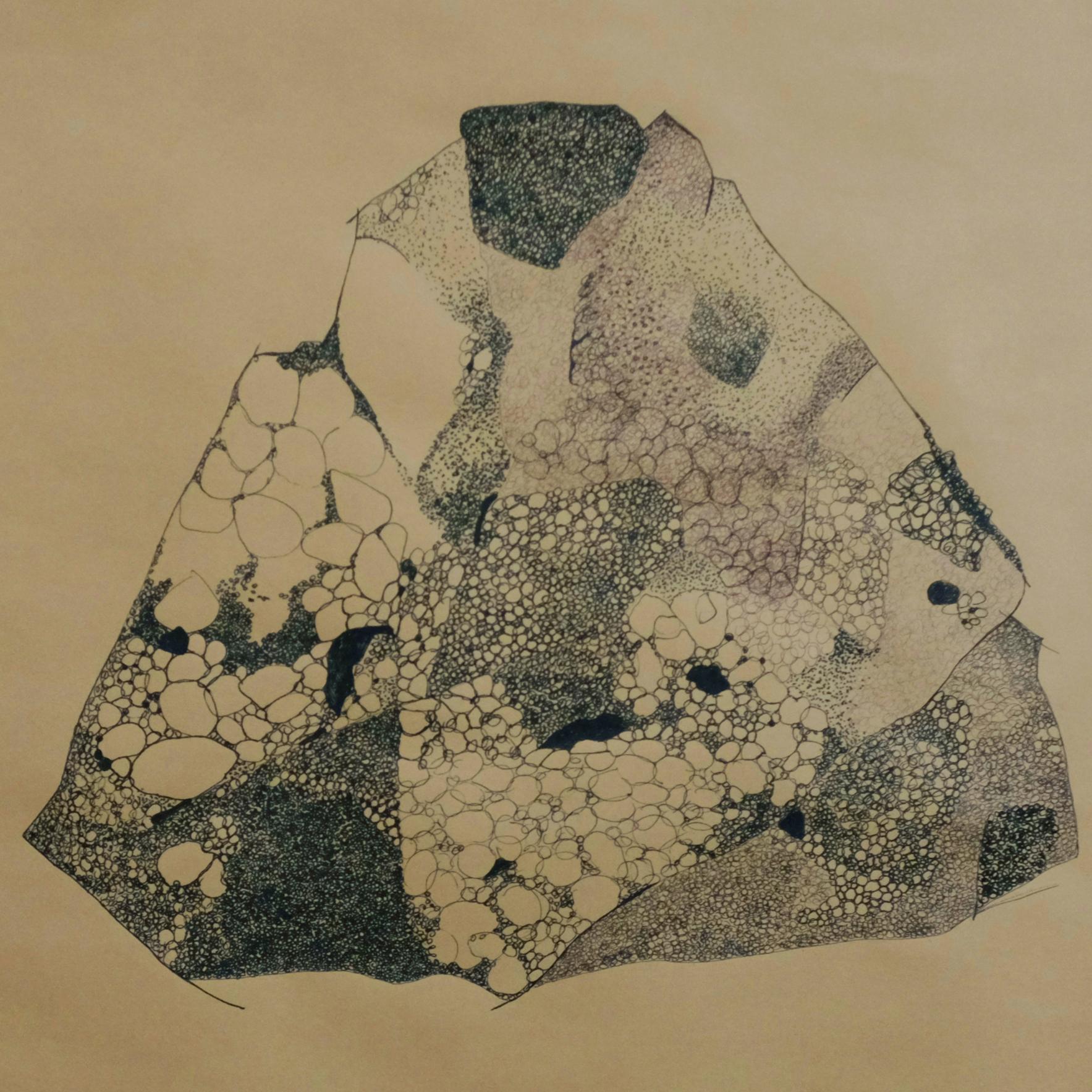 Anamorphia N1. Works on paper - Abstract Art by Rita Alaoui