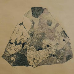 Anamorphia N1. Works on paper